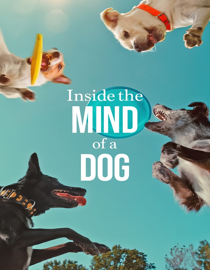 Inside the Mind of a Dog (2024) อ่านใจสุนัข VoJKuHD